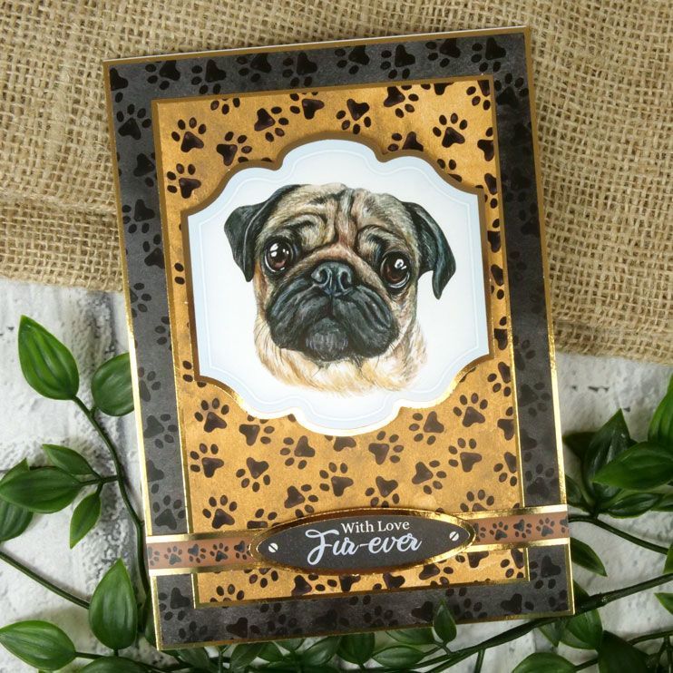 Décorations de cartes de luxe "Portraits Pawsome"