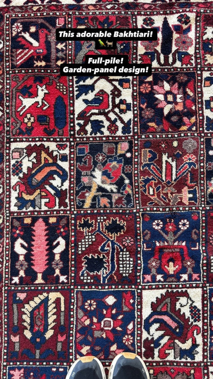 Persian Bakhtiari Rug | 5' 1" x 9' 6"