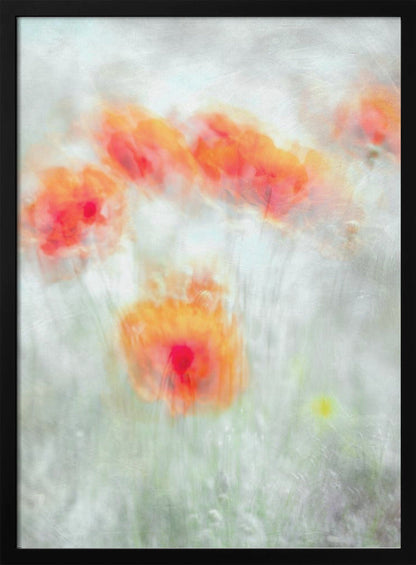 Fleurs de maïs rouges