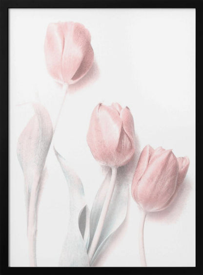 Douce fleur rose