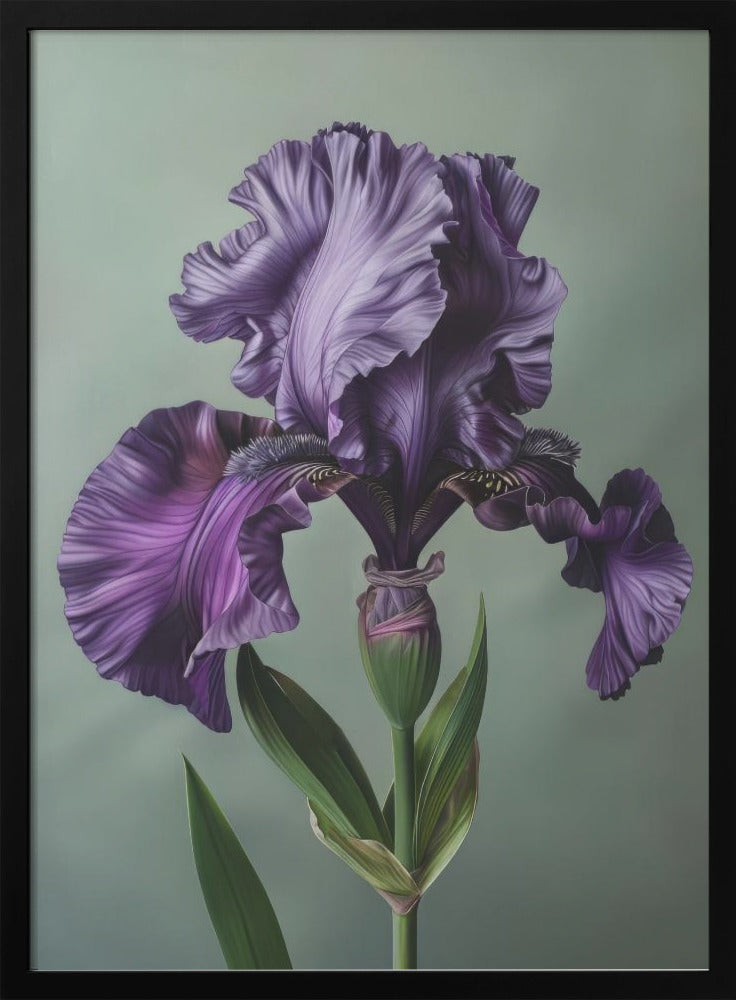 Décor mural Iris Fl 10