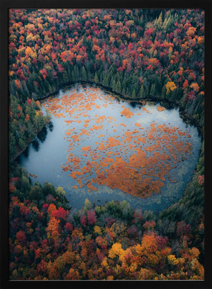 Décoration murale Automne au bord du lac
