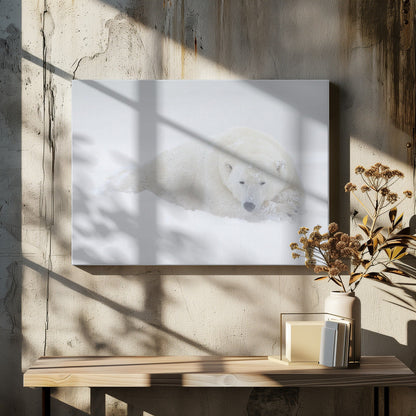 Wall art White