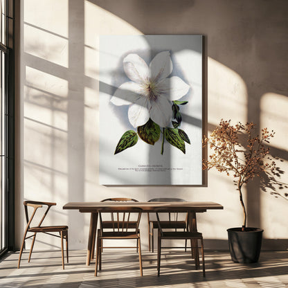 Lithographie murale fleur de clématite