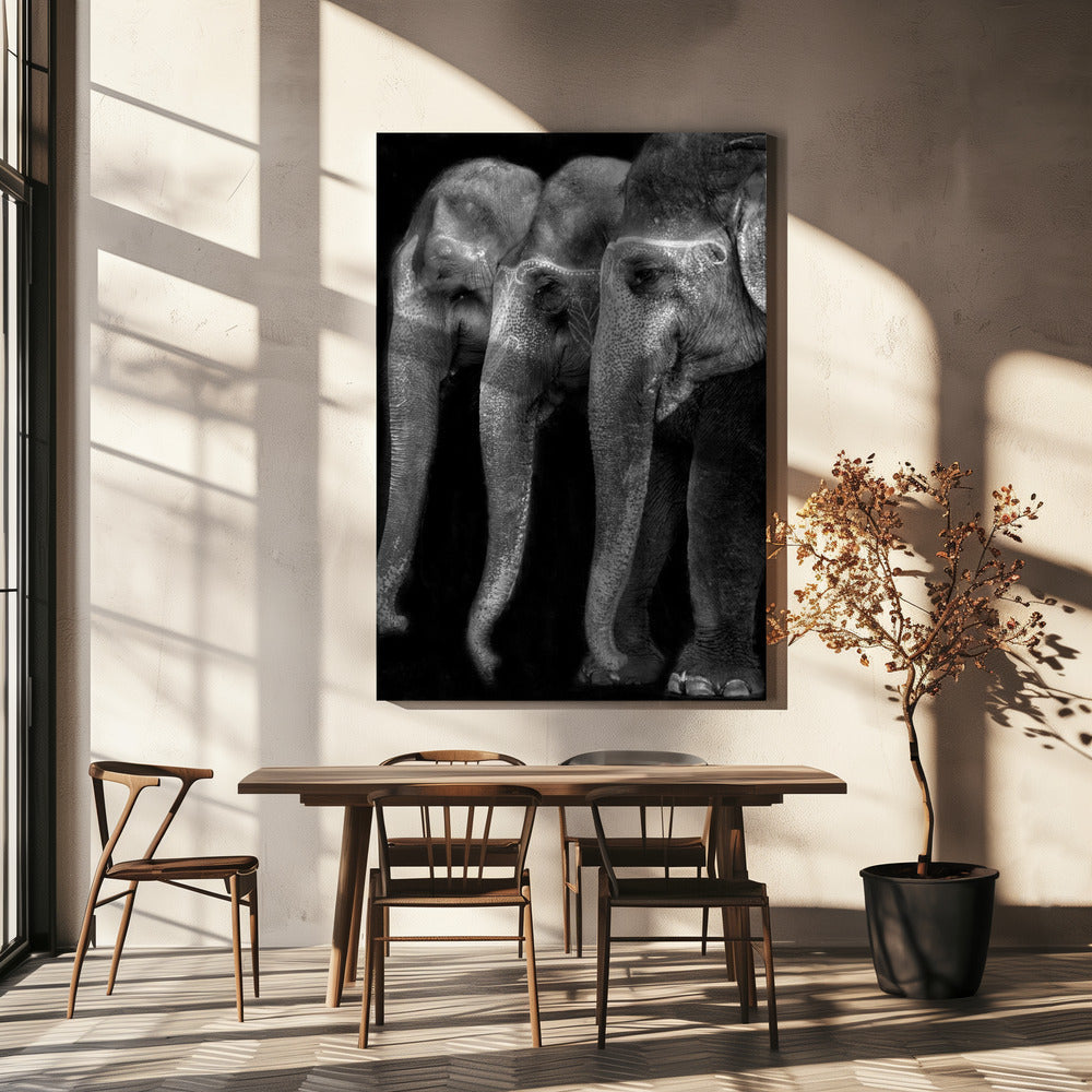 Art mural Le plus grand chef-d’œuvre de la nature, un éléphant ; la seule grande chose inoffensive…