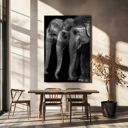 Art mural Le plus grand chef-d’œuvre de la nature, un éléphant ; la seule grande chose inoffensive…