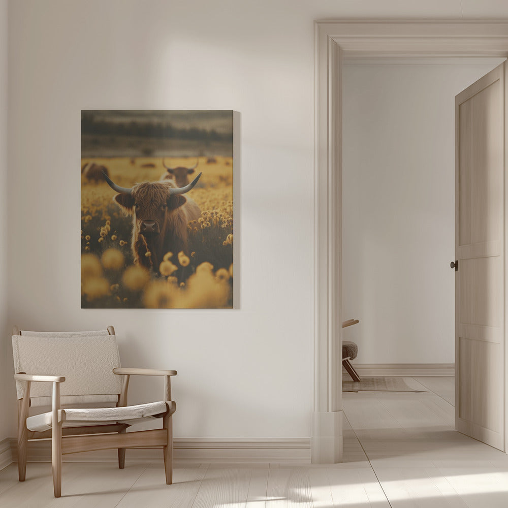 Art mural vaches des Highlands dans un champ de fleurs