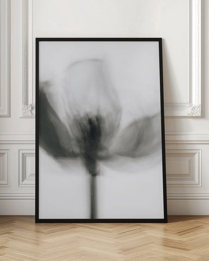 Art mural Tulipe monochrome