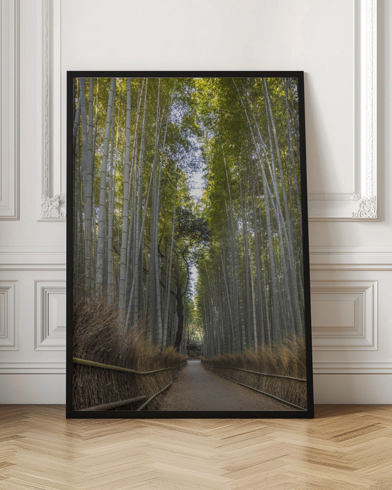 Art mural Forêt de bambous majestueuse d'Arashiyama