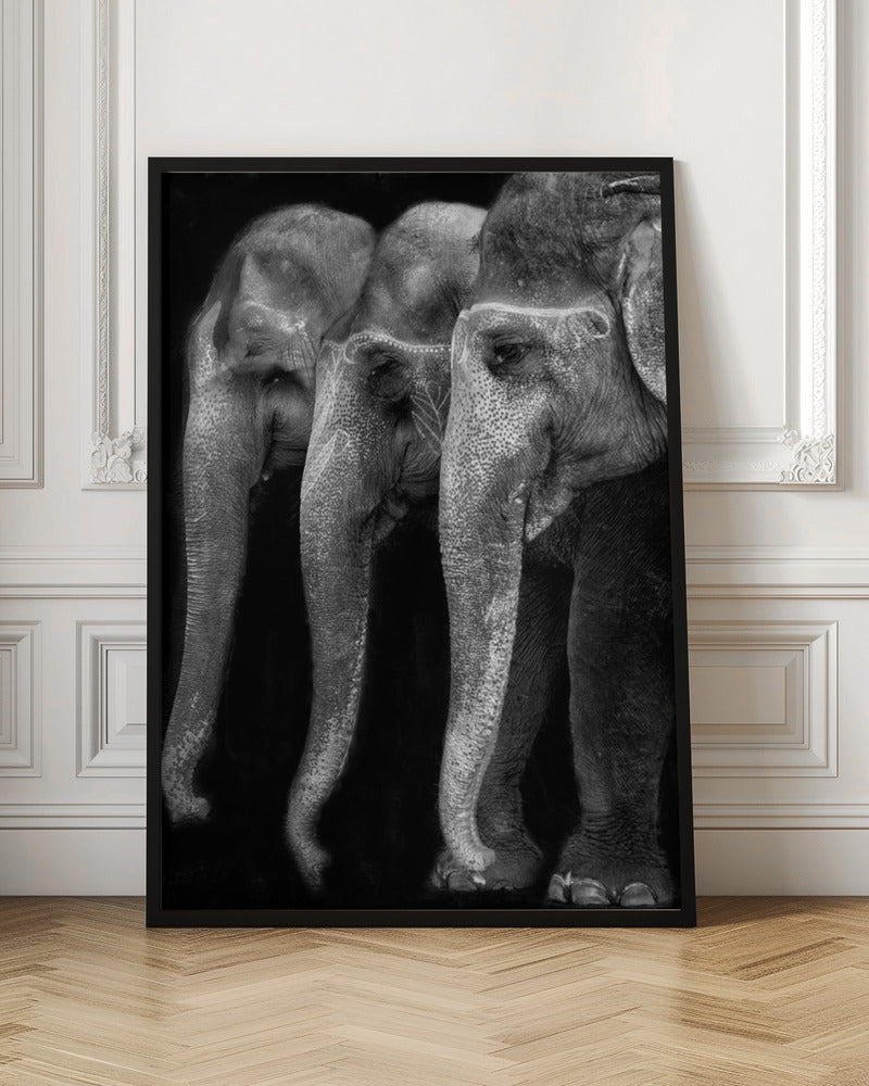 Art mural Le plus grand chef-d’œuvre de la nature, un éléphant ; la seule grande chose inoffensive…