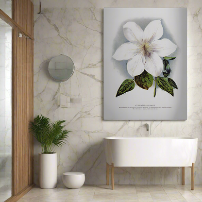 Lithographie murale fleur de clématite