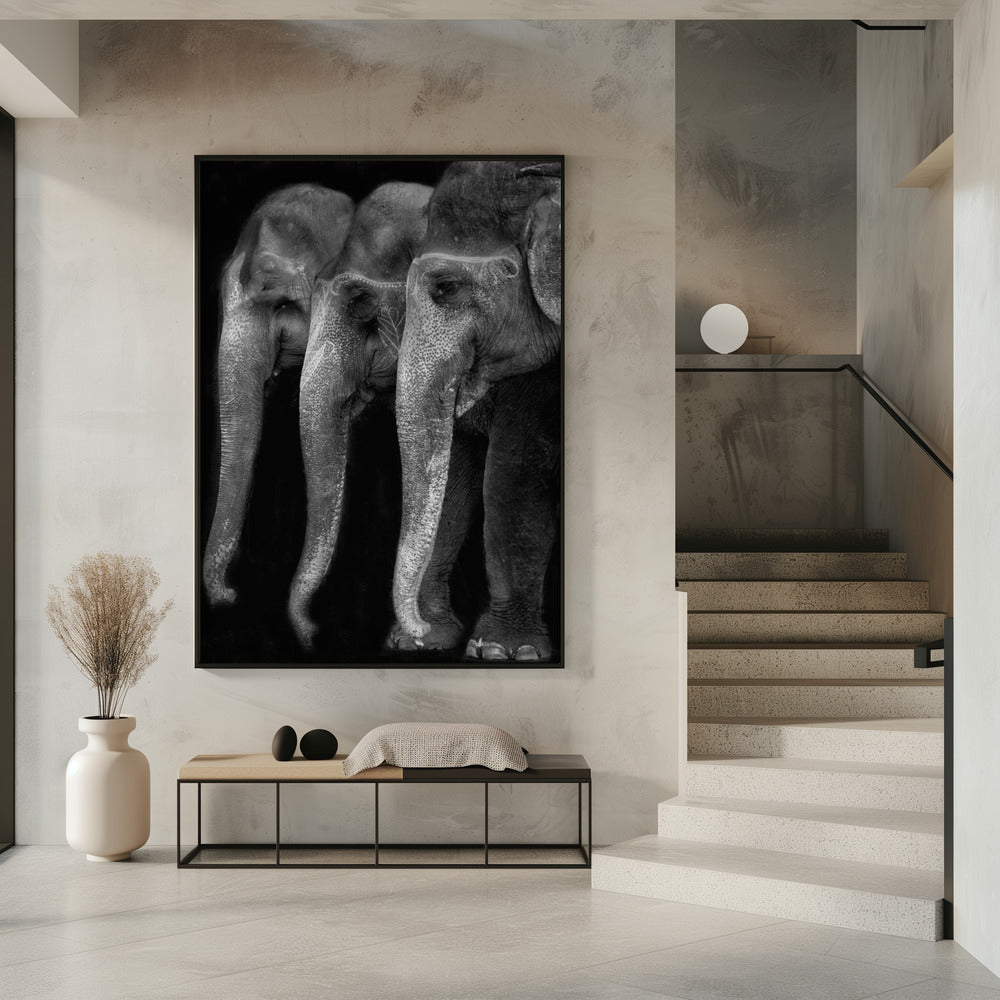 Art mural Le plus grand chef-d’œuvre de la nature, un éléphant ; la seule grande chose inoffensive…