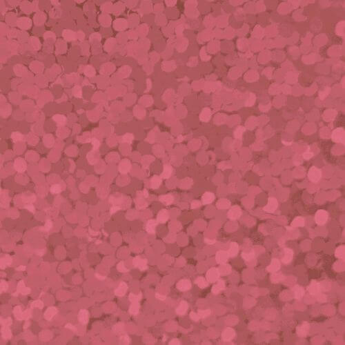 XVINYL Vinyle à Transfert Thermique Scintillant Holographique (Rose), 30x25cm, 5 Feuilles
