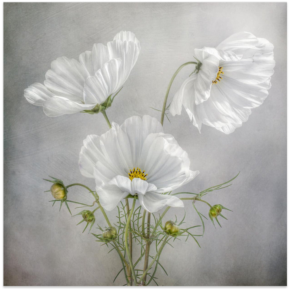 Art mural Charme cosmos Iris