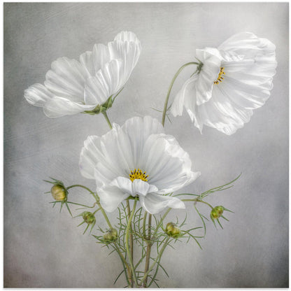 Art mural Charme cosmos Iris