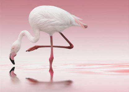 Décoration murale Flamant rose