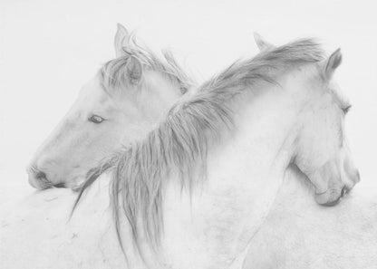 Chevaux