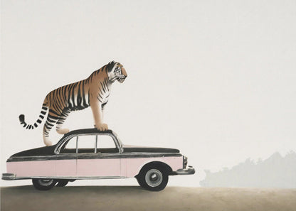 Art mural Tigre sur le toit d'une voiture
