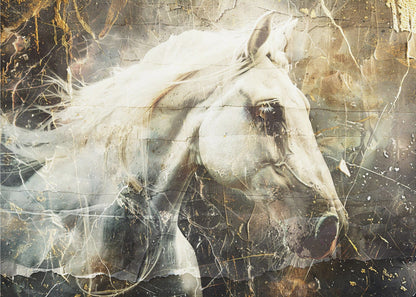 Art mural Cheval Animal Art vintage Illustration Murale 08