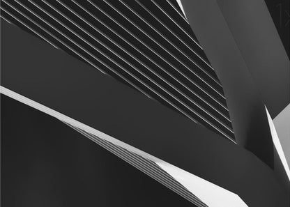 Art mural Abstraction d'un cygne