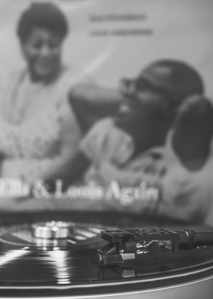 Art mural Vinyle_003