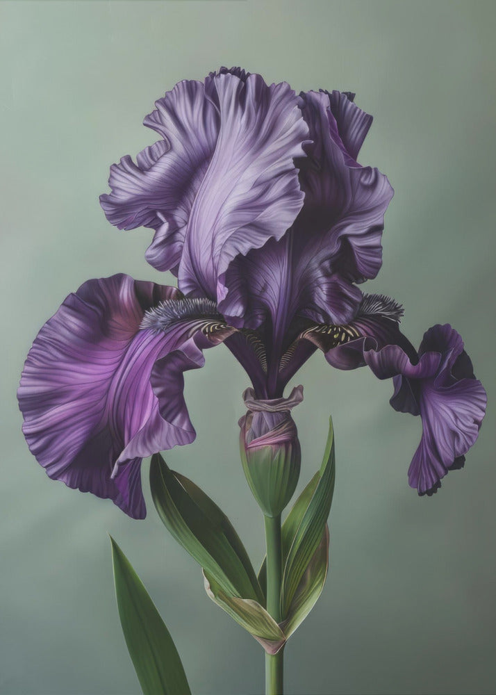 Décor mural Iris Fl 10