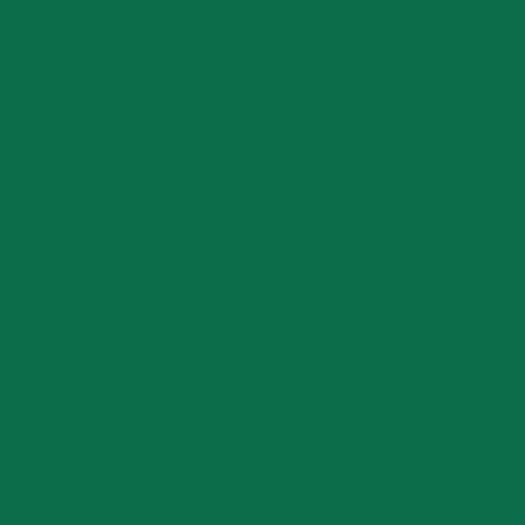 Feuilles Siser Easyweed vert mat 30,5 cm x 30,5 cm