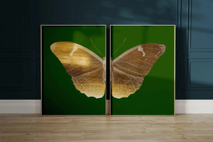 Impression d'art papillon Diptyque de la Phalène Émeraude : Duo Or Vintage