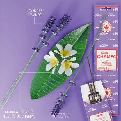 Lavender Champa Incense Sticks