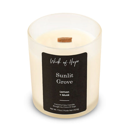 Bougie Sunlit Grove | Citron + Musc