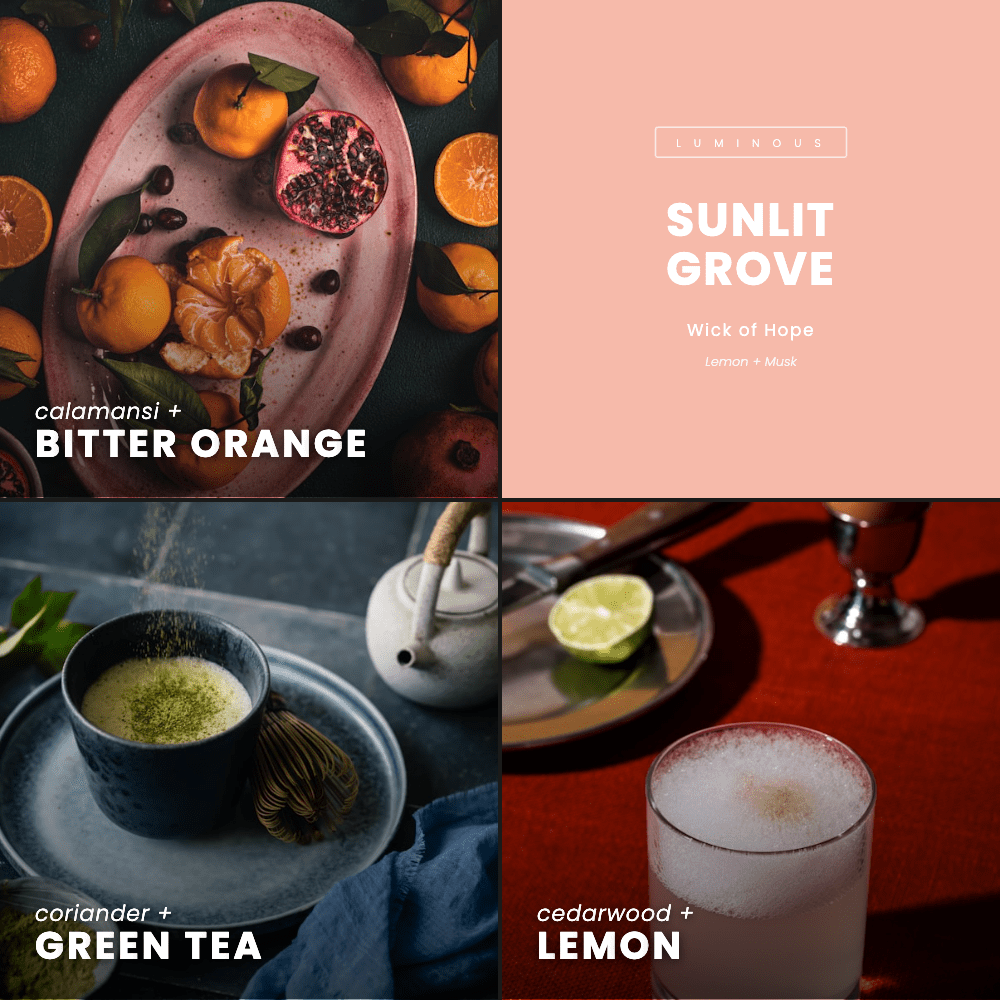 Bougie Sunlit Grove | Citron + Musc