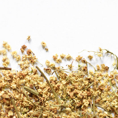 Sureau noir | Fleur entière séchée (Sambucus nigra)